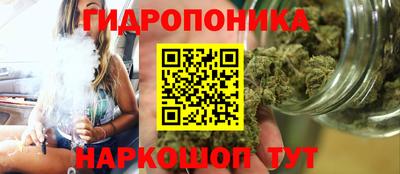 стафф Гусев