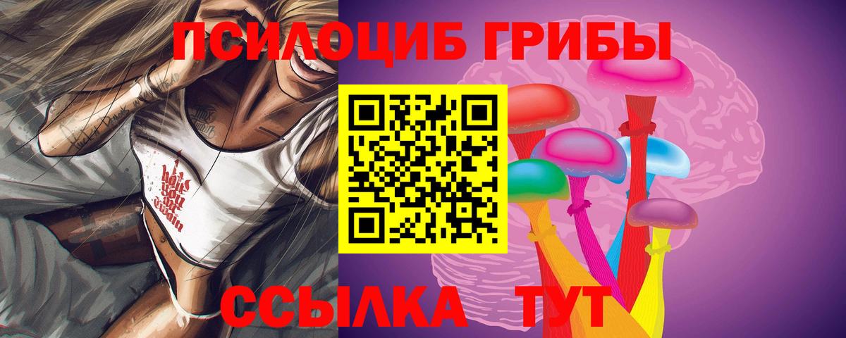 Псилоцибиновые грибы Psilocybe Луга